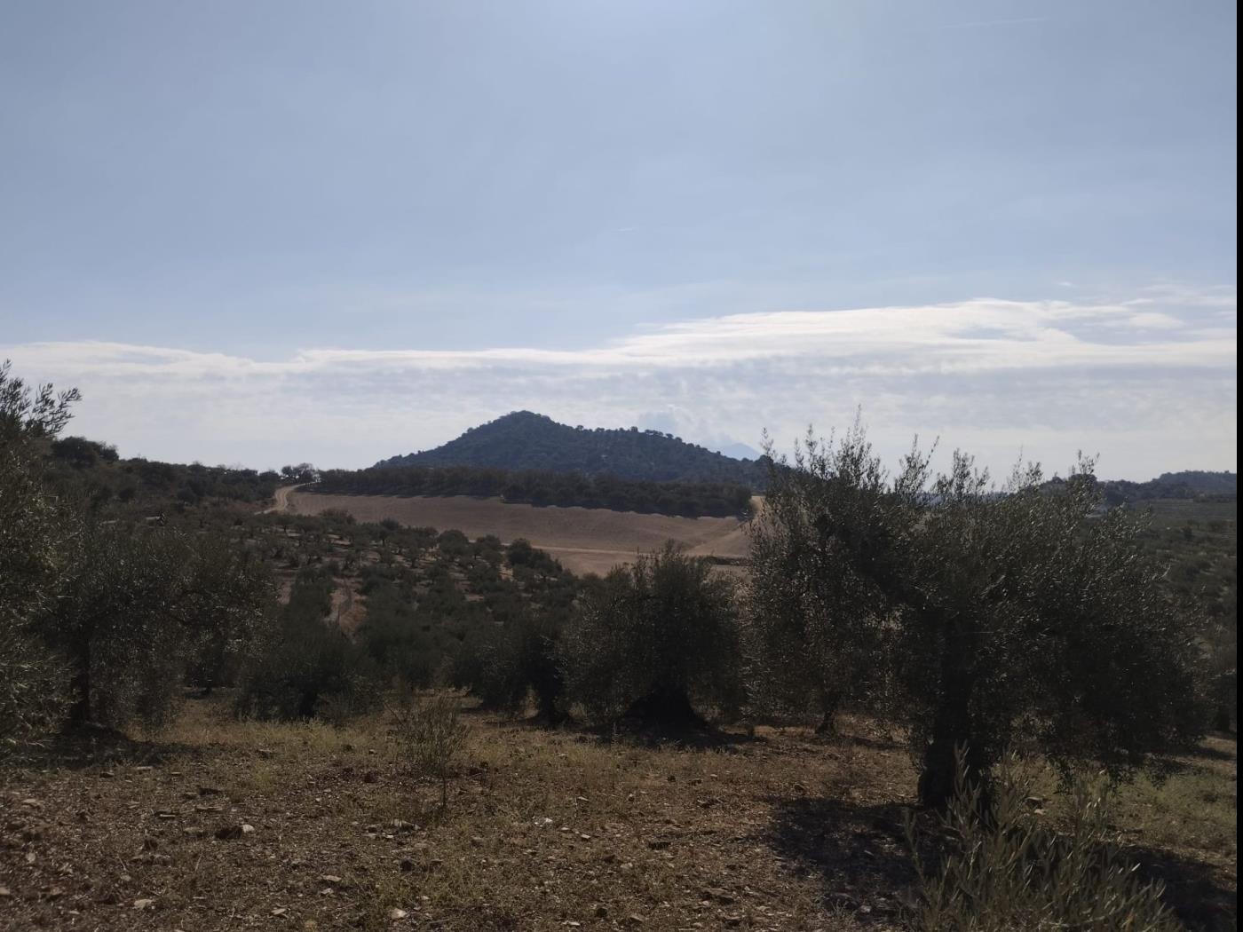 Plot of Land in Coin à Coín