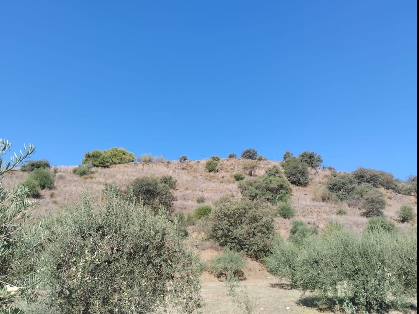 Plot of Land in Coin à Coín