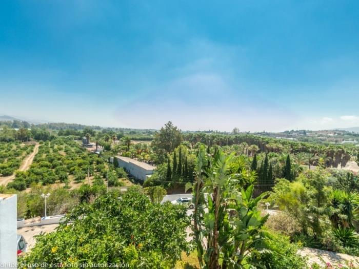 Finca de 4 dormitorios, Alhaurin de la Torre à Alhaurín de la Torre