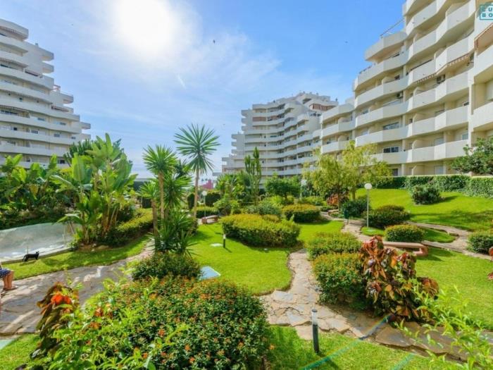 Appartement de luxe unique, 1 chambre et terrasse et jacuzzi, à Benalmádena