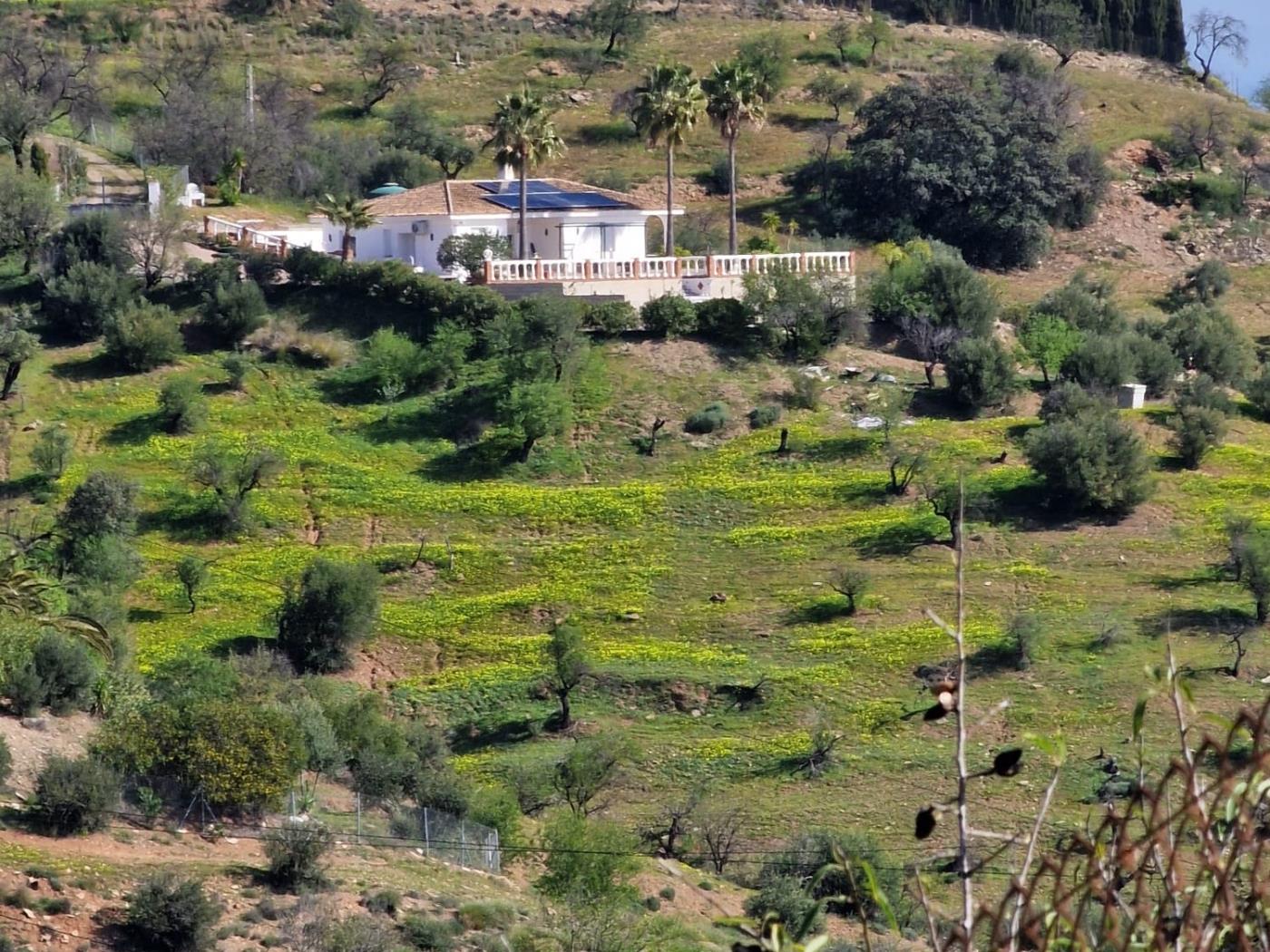 Chalet Independiente con 12.000 m2 de terreno, Guaro en Guaro