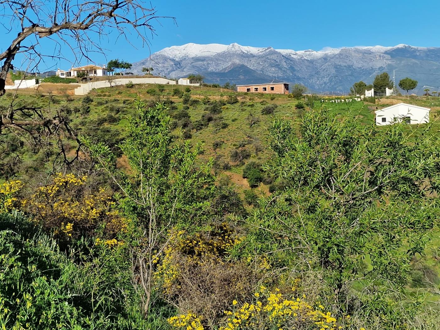 Chalet Independiente con 12.000 m2 de terreno, Guaro en Guaro